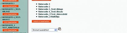 Ansicht des Elements Autolink nach dem Abspeichern